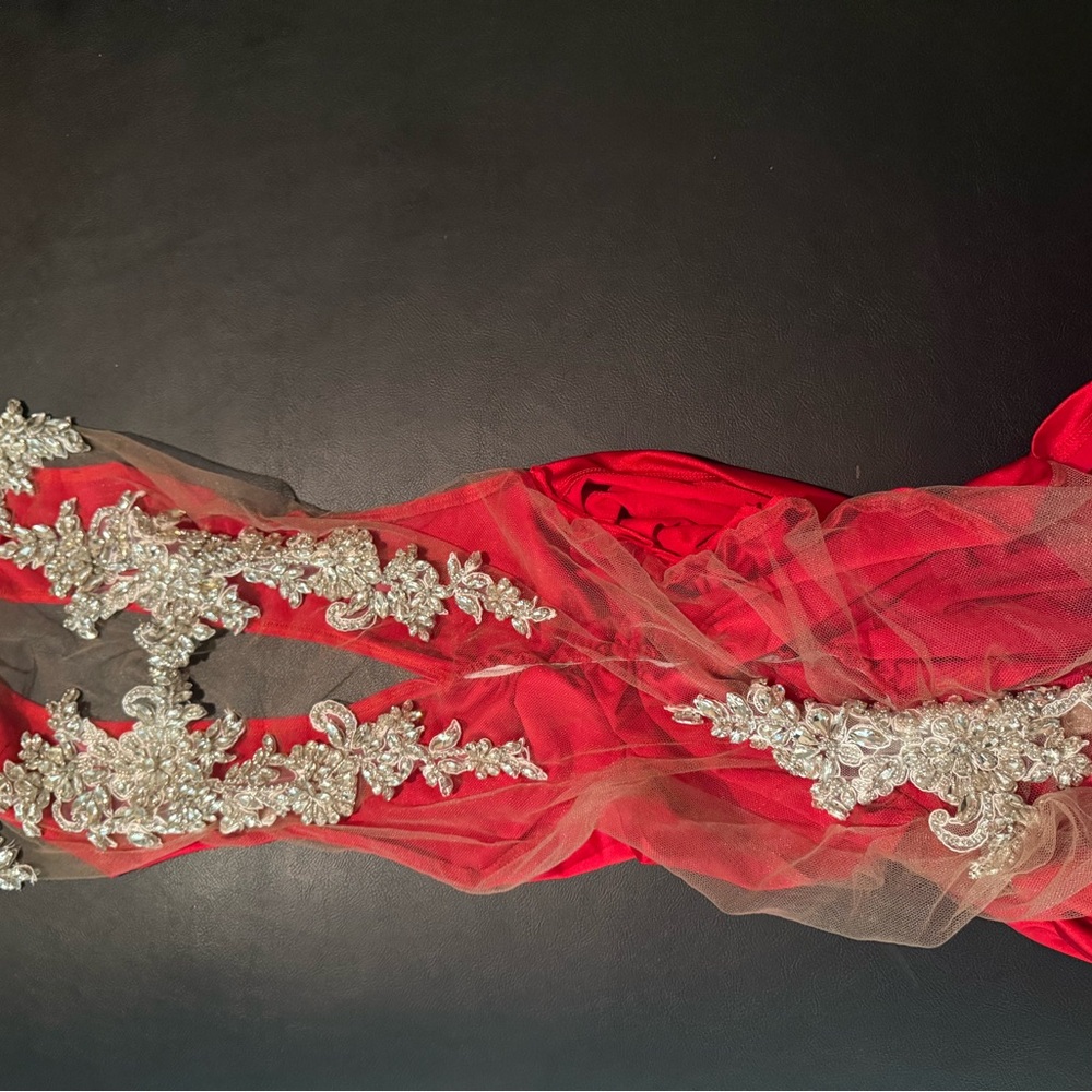 Red and Silver Sheer Dress - Picture 5 of 6
